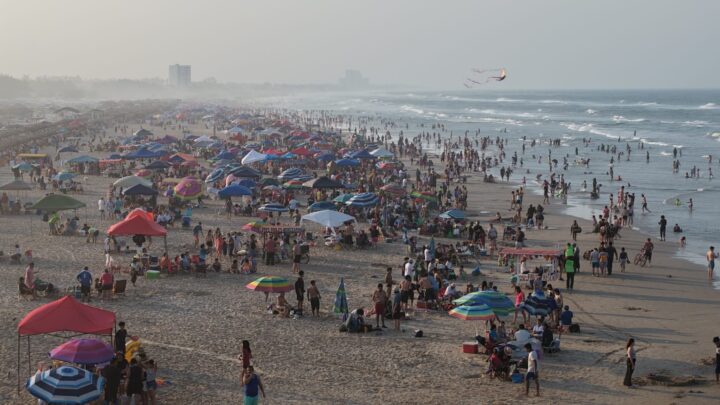ALTA AFLUENCIA DE VISITANTES EN MIRAMAR DURANTE EL FIN DE SEMANA.
