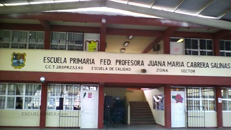 ATIENDEN ESCUELAS DE  MADERO DURANTE VACACIONES CON DESCACHARIZACIÓN Y  FUMIGACIÓN.