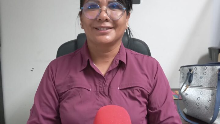 DENUNCIAN RIESGOS POR SOCAVONES Y FALTA DE MEDIDORES EN MADERO.