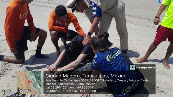 Personal Naval Rescata A Dos Personas En Playa Miramar Durante La “Operación Salvavidas Verano 2025”.