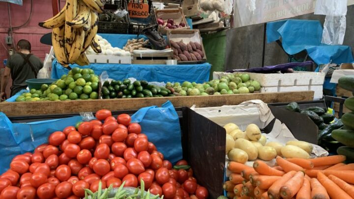 ALTAS TEMPERATURAS AFECTAN FRUTAS Y VERDURAS DE COMERCIANTES