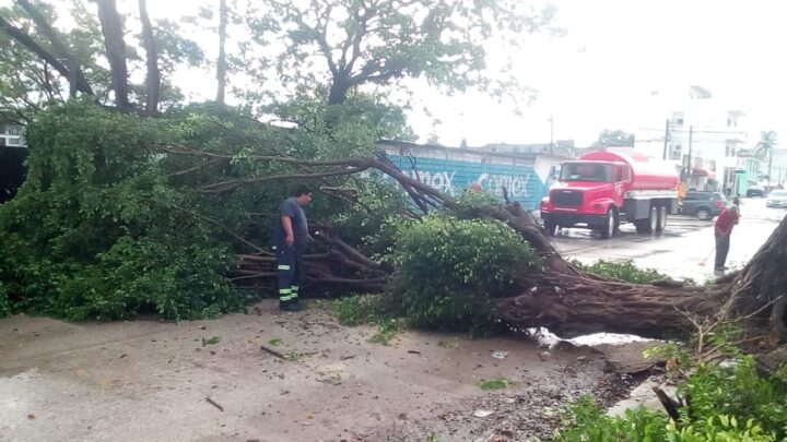 Lluvias Generan Afectaciones Menores En Ciudad Madero.