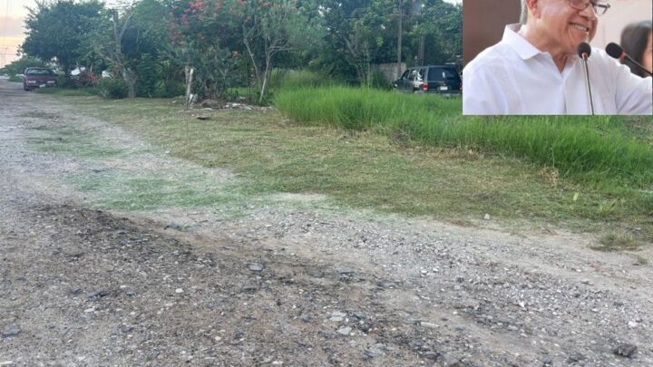 Ante incumplimiento, ciudadanos limpian de maleza las calles de Altamira.