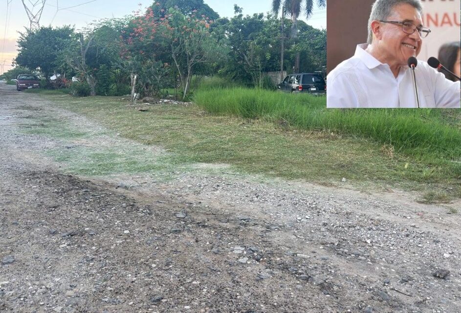 Ante incumplimiento, ciudadanos limpian de maleza las calles de Altamira.