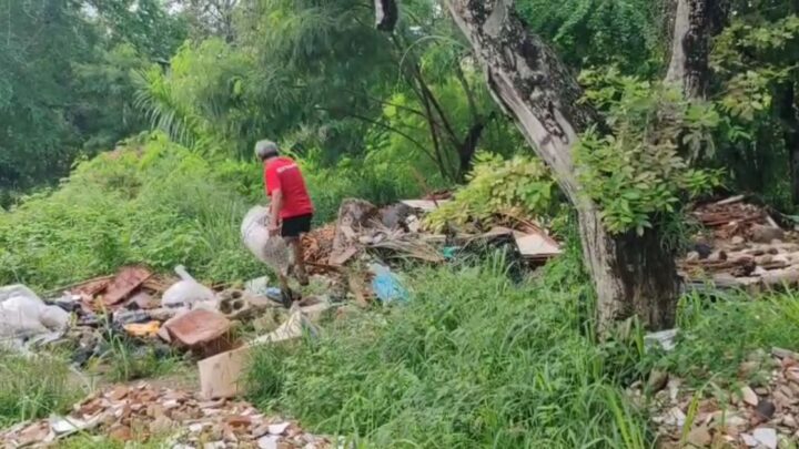 Hombre Adulto Mayor, Captado Tirando Basura En Área Verde