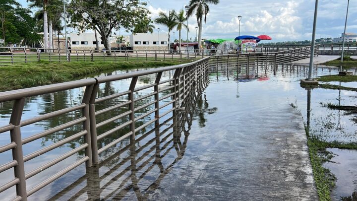INCREMENTA EL NIVEL DE LA LAGUNA DEL CARPINTERO EN TAMPICO