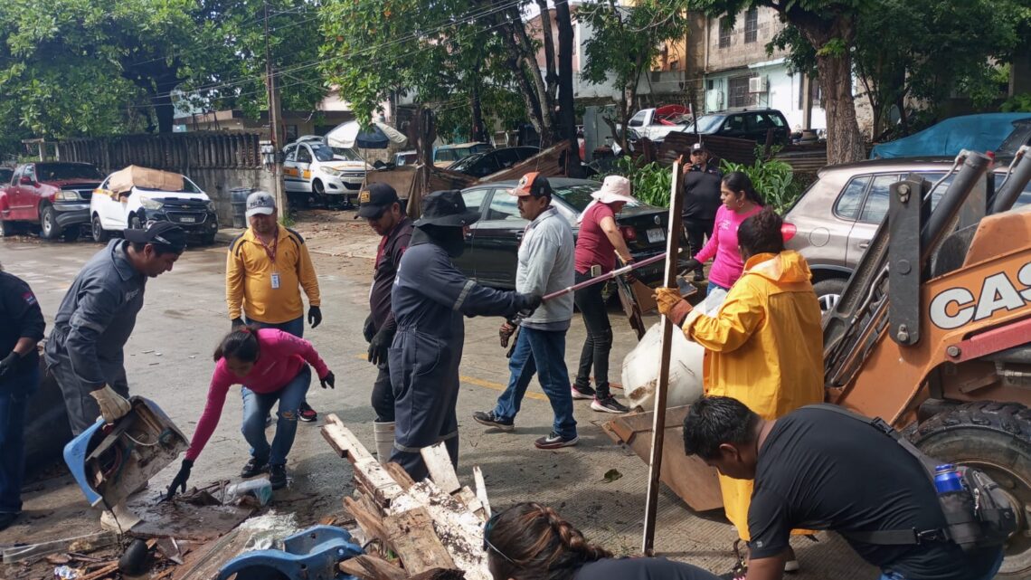 En Madero Emprenden Acciones Contundentes Contra El Dengue