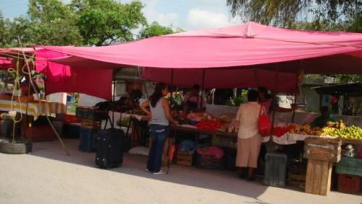 Locatarios De Mercados Rodantes En Ciudad Madero Reportan Bajas Ventas