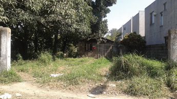 Atienden Denuncias Por Lotes Baldíos Con Maleza En Ciudad Madero.