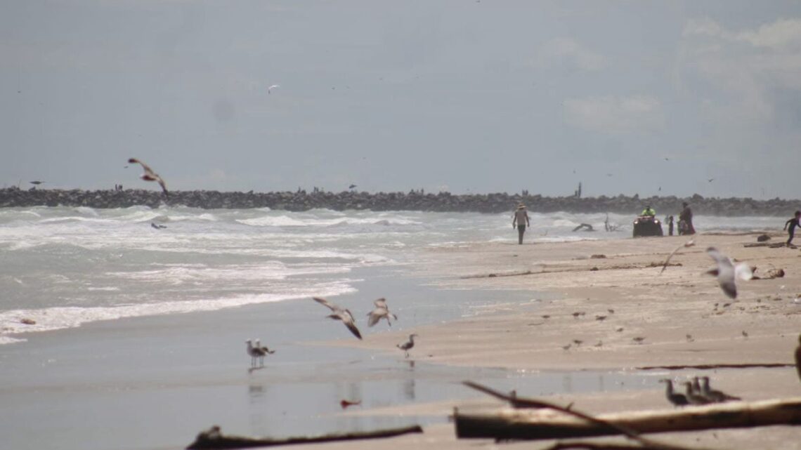 EXCESO DE PALIZADA EN EL ÁREA DE BAÑISTAS DE PLAYA MIRAMAR