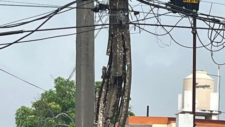 ÍNFIMO MANTENIMIENTO A POSTES DE CFE PONE EN RIESGO A CIUDADANOS