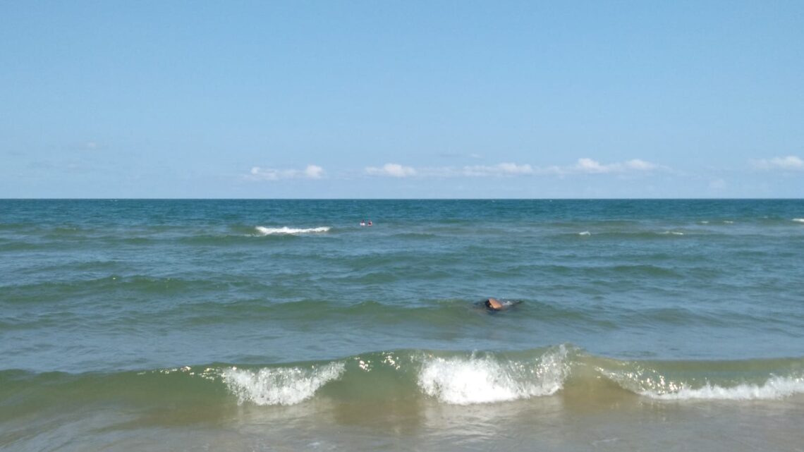 Refuerzan Protocolos En Playa Miramar Ante Apariciones De Cocodrilos