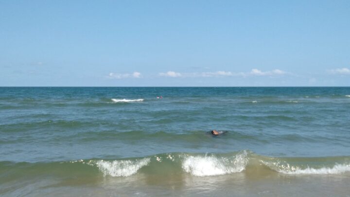 Refuerzan Protocolos En Playa Miramar Ante Apariciones De Cocodrilos
