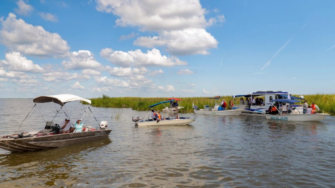 Impulsan Áreas De Reproducción De Lobina Y Otras Especies