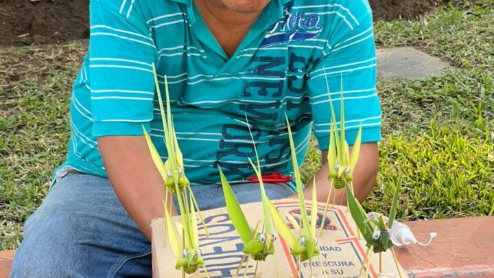 Artesano Del Norte De Veracruz, Busca Mejores Oportunidades Laborales