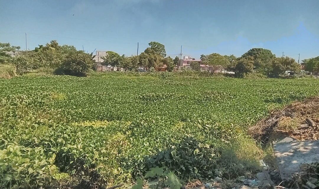 Ciudad Madero Destina Recursos Para Limpieza De Lagunas Y Récord En Obra Pública