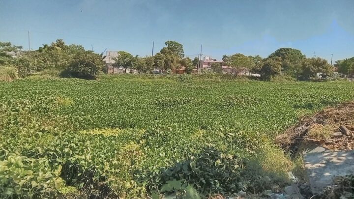 Ciudad Madero Destina Recursos Para Limpieza De Lagunas Y Récord En Obra Pública