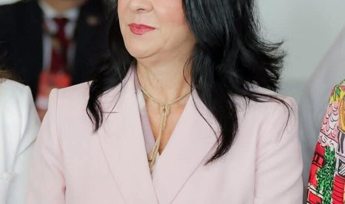 Sin Operativo Grúa En La Zona Centro Durante El Buen Fin: Mónica Villarreal