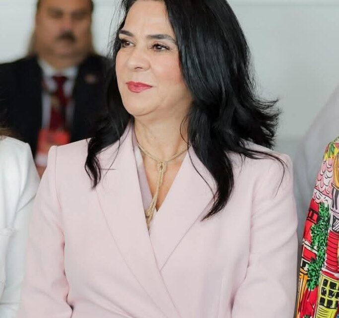 Sin Operativo Grúa En La Zona Centro Durante El Buen Fin: Mónica Villarreal