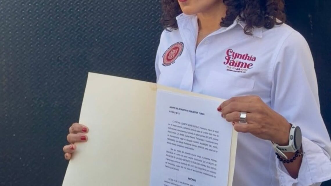 Atropellamiento De Perro En Ciudad Madero Desata Llamado A Reforzar Sanciones Y Denuncias Por Maltrato Animal