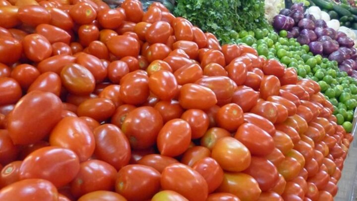 Se Dispara El Precio Del Tomate; Golpea A Familias Y Comerciantes.