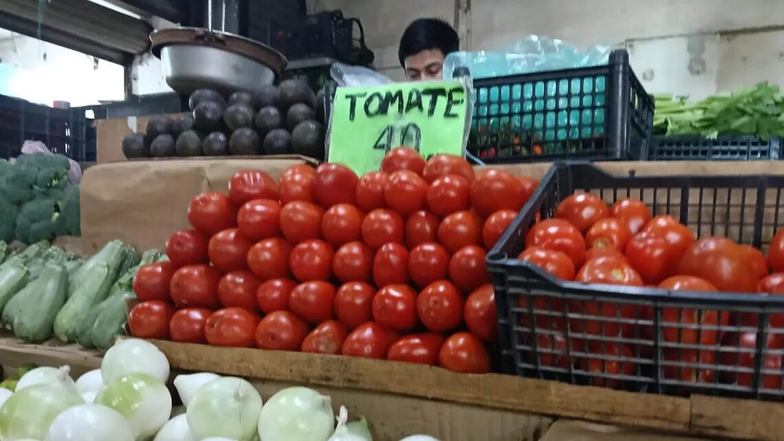 Tomate Se Dispara Hasta Los 45 Pesos Por Kilo En El Sur De Tamaulipas.