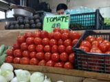 Tomate Se Dispara Hasta Los 45 Pesos Por Kilo En El Sur De Tamaulipas.