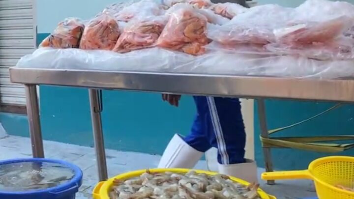 Aumenta La Demanda De Mariscos Durante La Temporada Alta En Mercados Locales