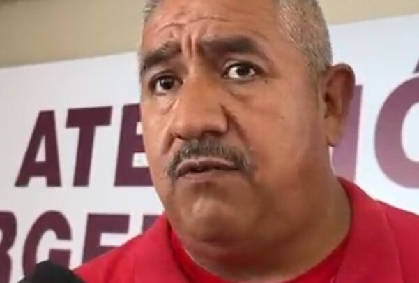 Aumentan Reportes De Enjambres De Abejas En La Zona Centro De Tampico