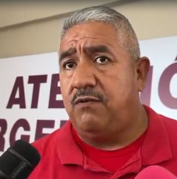 Aumentan Reportes De Enjambres De Abejas En La Zona Centro De Tampico