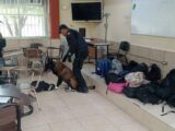 Aplican Operativos Mochila Con Apoyo Canino En CETIS Y CBTIS De La Frontera; Analizan Ampliarlos A Todo Tamaulipas.
