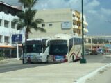 Comienza La Invasión Turística En Miramar! Llegan Autobuses Chárter A Reventar La Playa