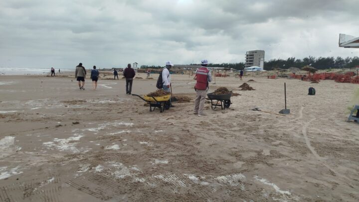 Refuerzan Acciones En Playa Miramar Para El Retiro De Sargazo.