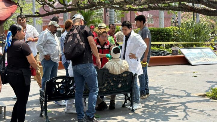 Adulto Mayor Resulta Lesionado Tras Caída En La Plaza De Armas De Tampico