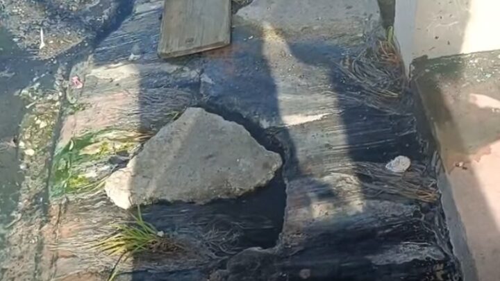 Altamira Entre Aguas Negras! Vecinos Estallan Contra COMAPA Altamira Y Acusan Abandono De Armando Martínez