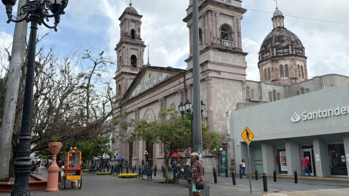 Preocupa Situación Económica A Familias Del Sur De Tamaulipas: Obispo De Tampico.