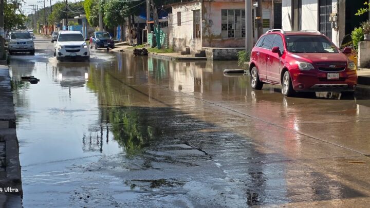 Vecinos De La Colonia Hipódromo Exigen Solución A Fugas De Agua Y Drenaje En Calle Jiménez.