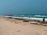 Crece interés de inversionistas por Playa Miramar con proyectos de infraestructura: Desarrollo Económico.