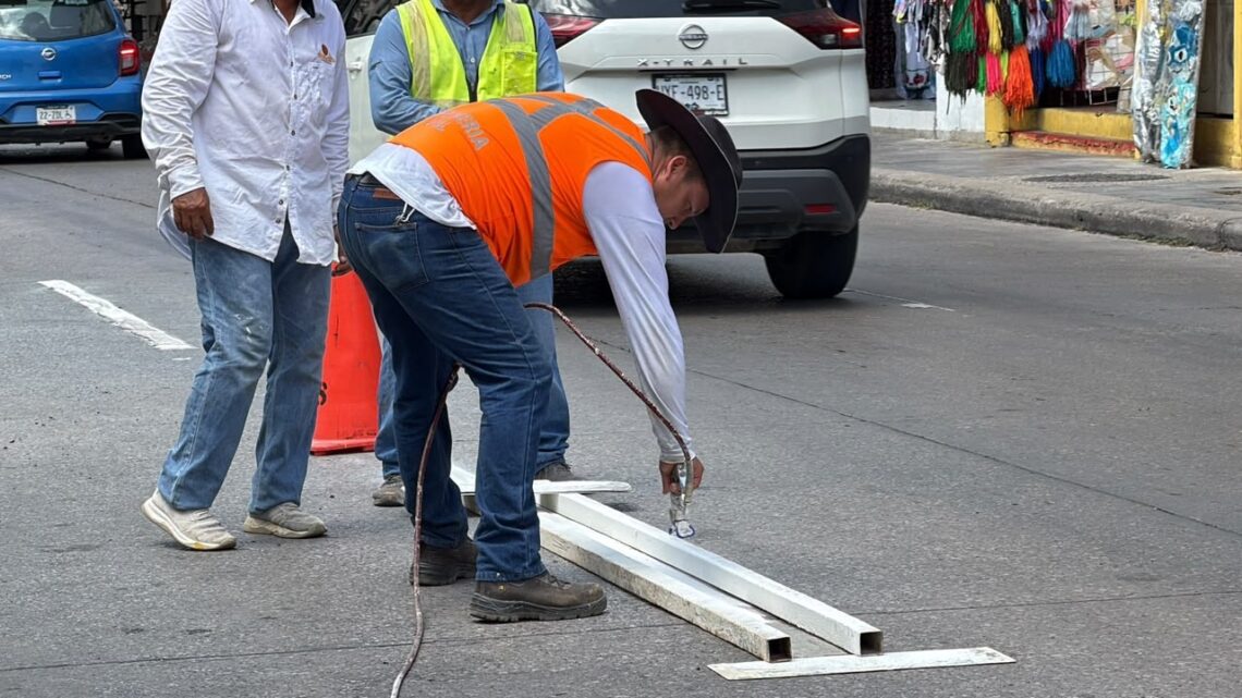 Dan Retoque A Rayas Continuas Y Cruces Peatonales En Tampico
