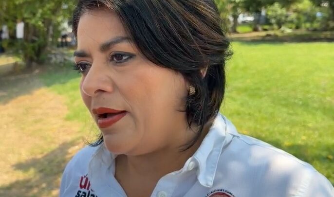 Buscarán Diálogo Con CFE Ante Constantes Apagones En La Zona Sur: Úrsula Salazar.