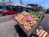 Calor Extremo Provoca Pérdidas A Comerciantes De Verduras En Ciudad Madero.