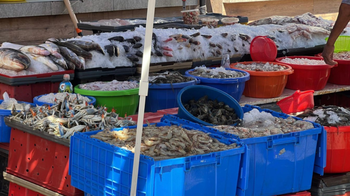¡Se Van Con Sabor A Tampico! Turistas Llenan Hieleras De Mariscos Para Llevar A Casa.