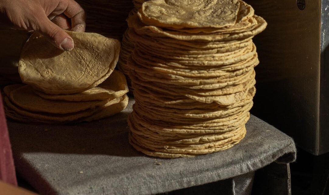 ¡Ni La Tortilla Se Salva! Nuevo Ajuste De Precio Impacta A Consumidores De La Zona Sur.