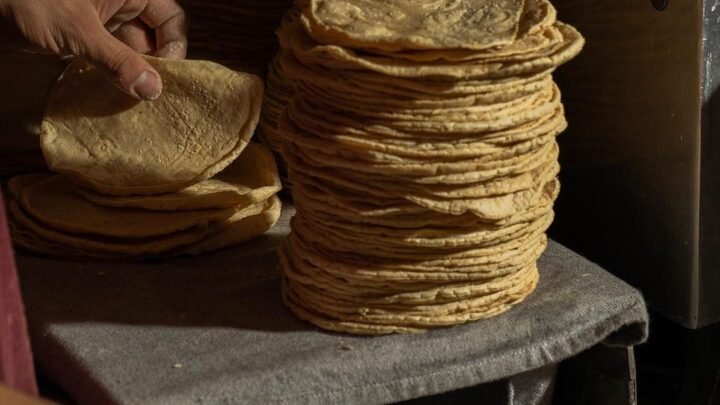 ¡Ni La Tortilla Se Salva! Nuevo Ajuste De Precio Impacta A Consumidores De La Zona Sur.