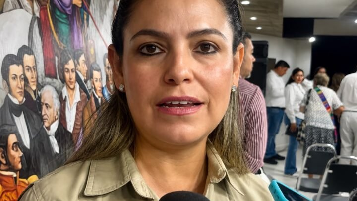 Ciudad Madero Atraerá Seis Nuevas Tiendas 3B; Dos Ya Cuentan Con Permisos De Construcción.