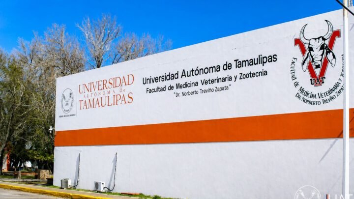 ¡Indignación en la UAT! Alumno termina hospitalizado tras presunta novatada violenta