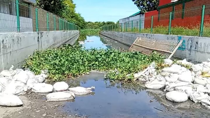 ¡LA COLONIA DEL TERROR! INUNDACIONES, COCODRILOS Y ABANDONO: VECINOS DE LA AMPLIACIÓN UNIDAD NACIONAL VIVEN CON MIEDO A CADA LLUVIA.