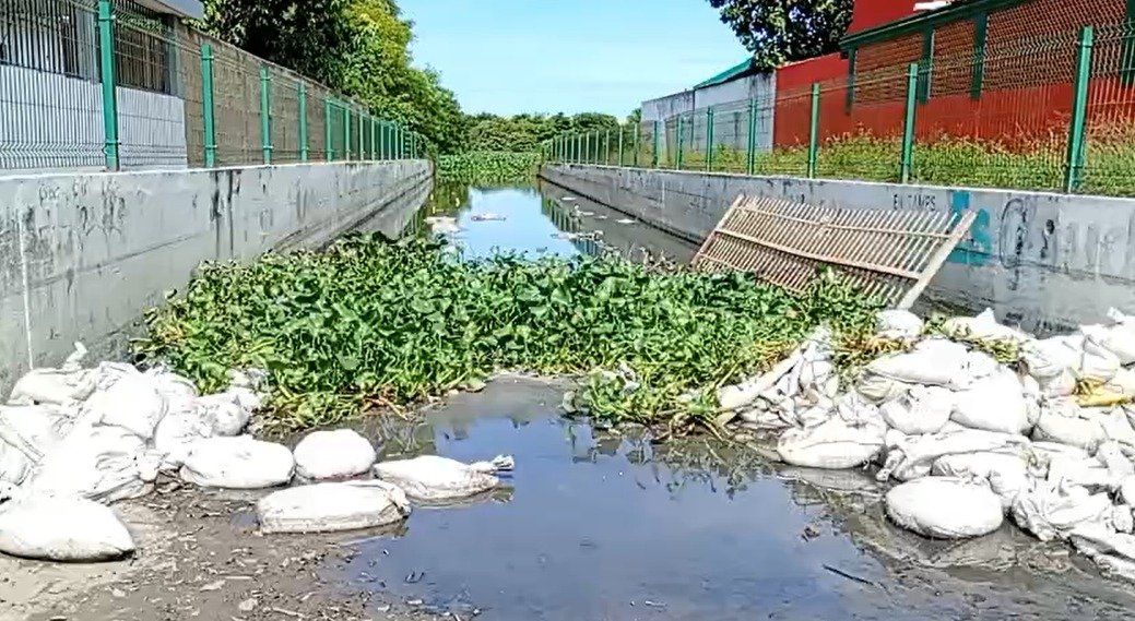 ¡LA COLONIA DEL TERROR! INUNDACIONES, COCODRILOS Y ABANDONO: VECINOS DE LA AMPLIACIÓN UNIDAD NACIONAL VIVEN CON MIEDO A CADA LLUVIA.