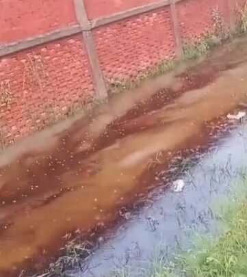 Lluvias provocan nuevo escurrimiento de hidrocarburo en la colonia Hipódromo de Ciudad Madero