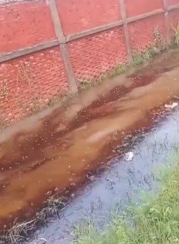 Lluvias provocan nuevo escurrimiento de hidrocarburo en la colonia Hipódromo de Ciudad Madero